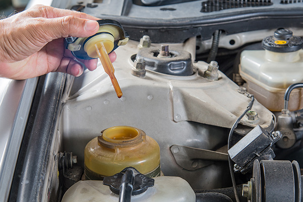 How Often Should I Get My Power Steering Fluid Changed? | Robbie’s At Your Service